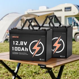 2 Pack 12V 100Ah Deep Cycle LiFePO4 Battery BMS Lithium Iron Phosphate Battery (Options: Black)